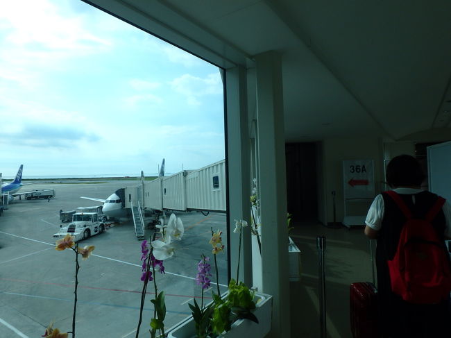 この時期の石垣旅は、ツアーで検索すると最低（エアー時間・ホテル選べない）でも一人７万円でした<br />なのでエアーとホテルとバラバラに手配、都合の良い範囲で低価格のを選び<br />行きはANAのスカイコインを少し使い那覇乗り換え、帰りはJAL直行便クラスJでエアーは一人￥３９３００<br />なかなか安価でとれた！<br />お宿はB＆B、民宿も検討したんですが<br />私のわがままでホテルミヤヒラです(^_^;)これで＋￥２１０００<br />ホテルに泊まれて１人￥６０３００で満足<br />