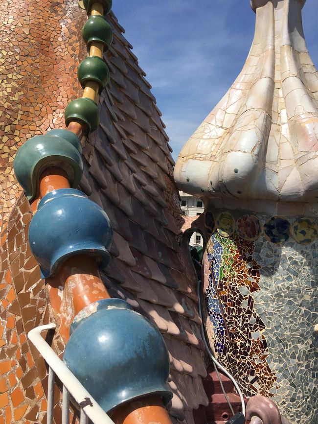 屋上から屋根の部分。動物の背骨のような、恐竜の背を思わせるデザインです。