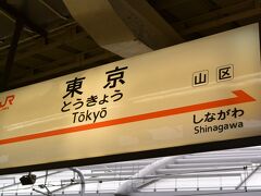 新幹線で新富士より東京に到着。