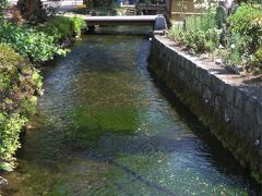 地蔵川。清流で梅花藻がみられることで有名です。