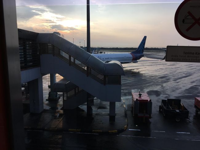 翌朝<br />4時起床<br />5時ＪＡＬカウンターへ。<br />まだまだらしく、荷物をとりにホテルへ戻り<br />再度5時半にカウンター。<br /><br />6時に判明と言われたが<br />カウンター締め切り後もちらほらと人が現れ<br />昨日とは違い（違うように感じ）、今日は遅れてくる人を待っているＪＡＬスタッフ。<br />胃がキリキリ、乗れるのだろうか。<br /><br />6時15分　ようやく確定（感涙）<br /><br />スタッフに付き添われ搭乗口に。<br />（出国審査も別室でやってもらい）<br /><br />めでたくＪＬ720分　6時45分発<br />成田16時25分着。<br />17時05　シャルバス　八重洲へ。<br /><br />18時半無事帰宅。<br /><br />飛行機のゴタゴタで××ガイドさんは帳消しになりました。<br /><br />悪いことも、その上の悪い出来事で消されるものですね。<br /><br />終わりよければ全て良し。<br /><br />※こちらの画像も往路の成田<br /><br /><br /><br /><br />