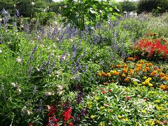 神社を出て少し左側の海辺は、砂鉄が結構取れます。
磁石を持っていくと面白いと思います♪

そろそろ3時なので出発しようとなり、
途中の道の駅とみうら枇杷倶楽部で休憩してから帰ります。
（写真は道の駅とみうらのガーデン）