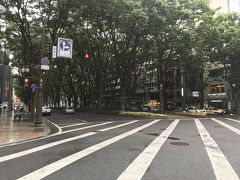 雨の定禅寺通り