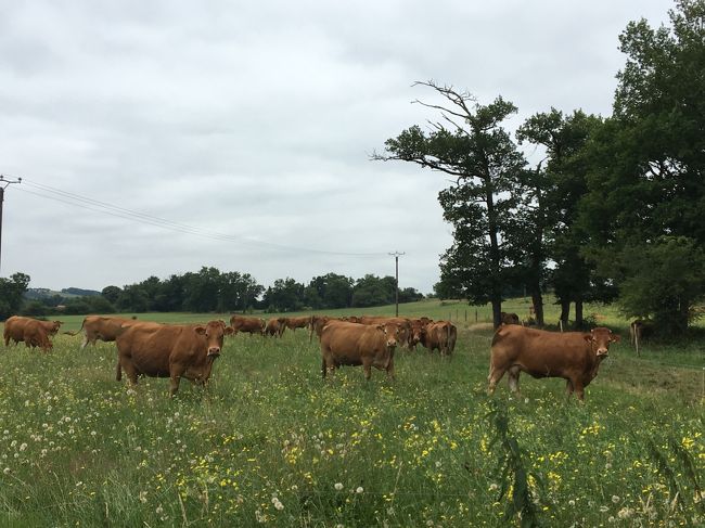 途中の風景、車を止めるとみんなこっちを見る