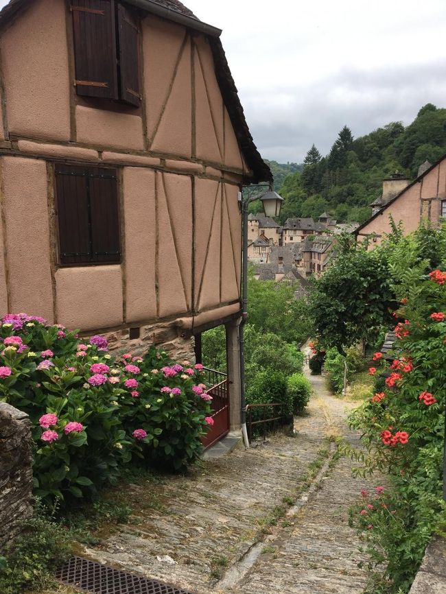 ココもピンクのアジサイ。<br />日本で見掛けるブルーは見ませんでした。