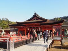 厳島神社へ。
前回はちょうど結婚式やってたんですけど、さすがに大晦日。
人の数も多くなかったです。