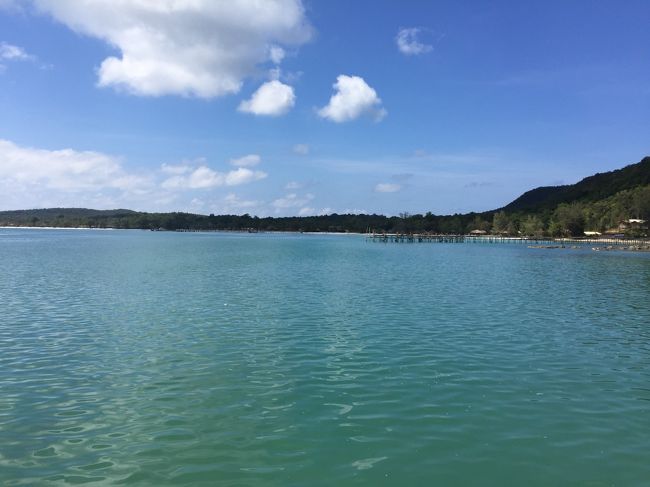 というわけで、私の夕飯は無しだそう。。