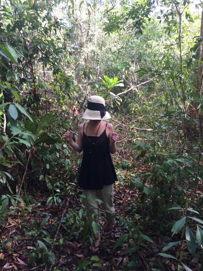 こんなジャングル歩くなんて聞いてないから　完全準備不足。