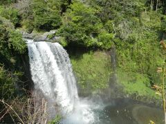 『音止の滝』が姿を現しました！
この後訪れる『白糸の滝』とは対照的に、とても豪快な滝です。
落差は25mですが、幅広に落ちる直瀑の姿は力強く、落差以上の迫力を感じる滝です。