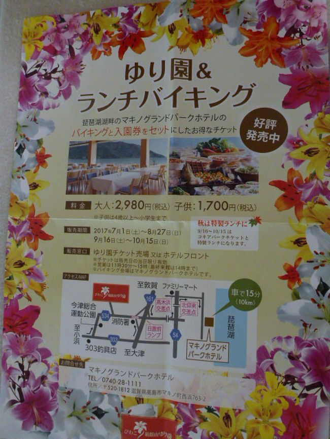 涼と癒しを求めて 滋賀 箱館山ゆり園 マキノ高原 メタセコイア並木 マキノ 滋賀県 の旅行記 ブログ By Ma Yuさん フォートラベル