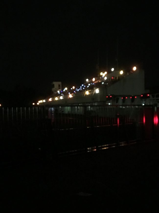 ２１時１０分　匠の花火で閉幕します。<br /><br />花火師をありがとう！とねぎらうペンライト。<br />このペンライトがとてもきれい。<br />私達は、ペンライト持ってないからスマホの明かりがペンライトの代わり(^｡^)<br /><br />花火師さんも喜んでいることでしょう。