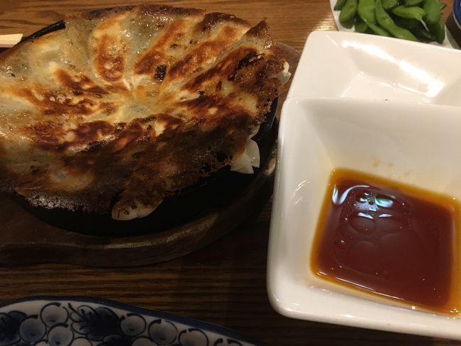 白木屋人気ナンバー２の鉄鍋ギョーザ。<br /><br />量少なくてこれで５００円以上してる。<br />味は合格点だが値段と釣り合いが取れてない・・<br /><br />朝５時まで飲んで粘ろうと思ったけどやめた！！！<br />カラオケ屋に行って時間調整します。<br />そしてまたのんびり青春１８きっぷで埼玉まで帰ります。<br /><br />今回のメインは花火なので食事や飲み関係の写真は控えめにしました。<br />たまにはこんな旅行記もアリでしょ(^^♪<br /><br />また来年も長岡行きますよ！！！<br /><br />８月３日の徒歩数　17,563歩也。<br />今日はたくさん歩きました。<br />