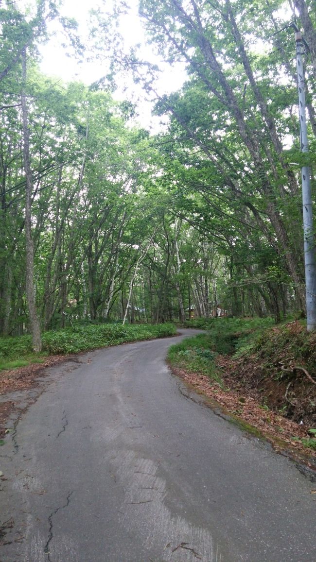 車山高原トレッキング オーベルジュでフレンチ 長野1 白樺湖 蓼科 車山 長野県 の旅行記 ブログ By まりもまめさん フォートラベル 車山高原トレッキング オーベルジュでフレンチ 長野1 白樺湖 蓼科 車山 長野県 の旅行記 ブログ By まりもまめさん フォートラベル