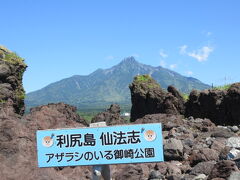「仙法志御崎公園 」ここが利尻島で一番楽しいかも、可愛いゴマアザラシと美しい景色とお得なショッピングが揃っています。