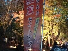 岩畳から歩いて移動し、月の石もみじ公園のライトアップ会場に到着。