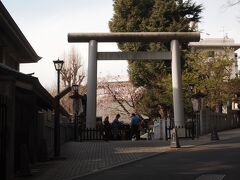 不忍池沿いの上野のお山の五條天神社。
ここはメインの場所の裏側になるので、神社があるなんて知りませんでした。