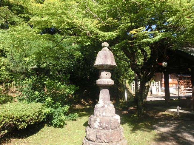 灯籠の屋根が魔法使いの帽子のような縦長のものがまじっている