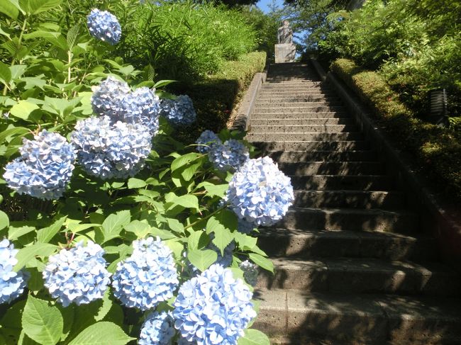 さらにまた登ったら、