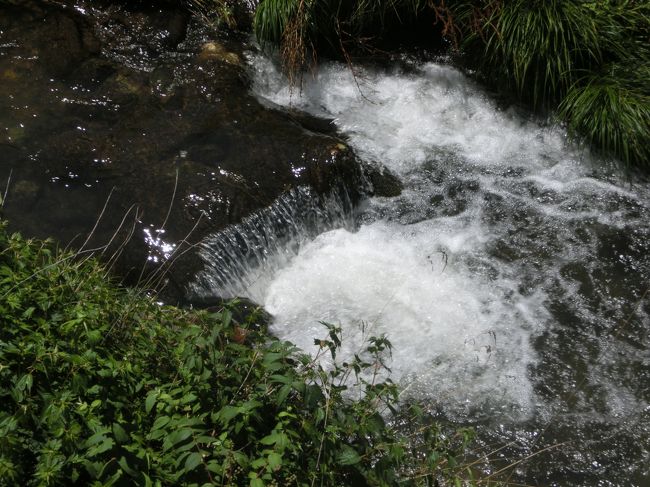 川にそって15分ほど