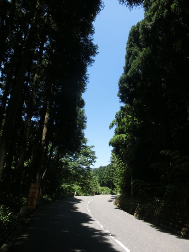 うーん、これが、禅に至る道かあ (お寺からは遠ざかっているのですが)