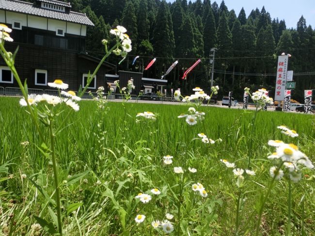 おとなりが胡麻豆腐の里ということで、行ってみます