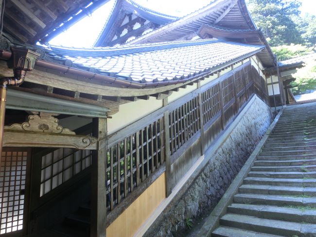 建物内ですが、山なので、必然階段を登って行くことになる。これしらなかったー。