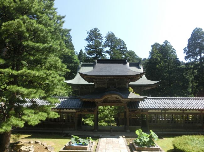 自然を邪魔しないように建てられているのですね