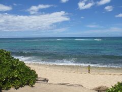 Laniakea Beach