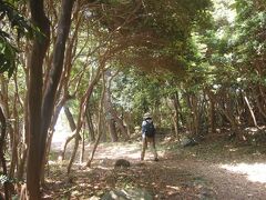 　これから海岸沿いの波戸岬遊歩道を歩く。