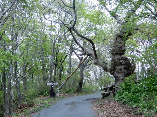 観音山の展望所を目指して。。。