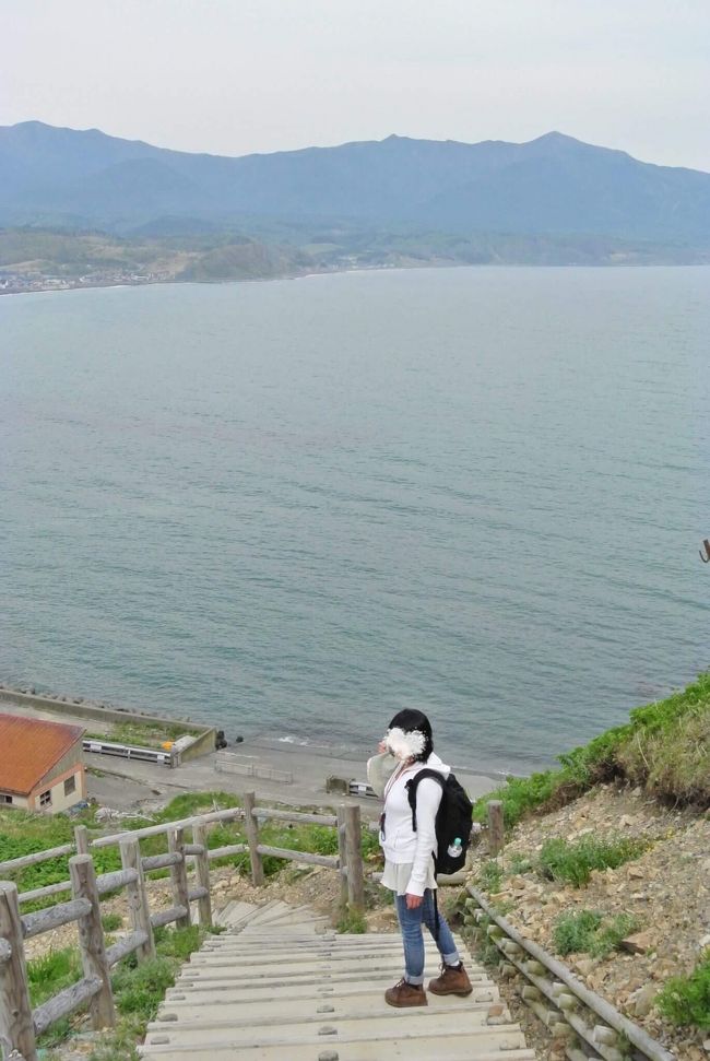 けっこう急な階段を登って、頂上へ<br /><br />今日は序の口です<br />後日この階段を猛ダッシュで駆け上がる事に。。。