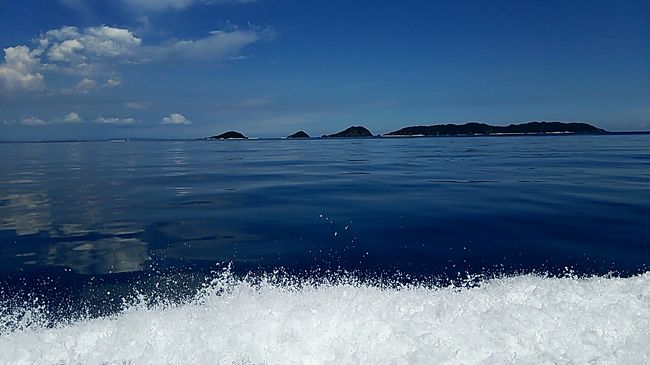 朝8時にダイビングショップの人が迎えに来てくれて、海へ。<br />いい天気！！