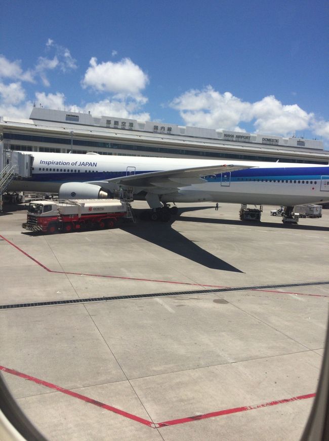 いよいよ解脱フライト。<br />うれしいような、寂しいような。