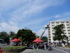 晴れているけどまだ我慢が出来る暑さです