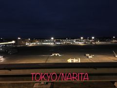 成田空港 第2ターミナル 見学デッキ