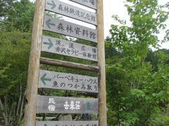 2017年7月16日（日）

15：00　赤沢渓谷の駐車場付近を散策