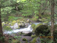 お蕎麦屋さんの案内で渓流に下りて行く。

足元が悪いので要注意。