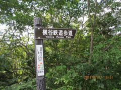 遊歩道が整備されているから、

アスファルトで歩きやすいんだけど、

かなりの下り坂。帰りの登りが怖い。