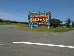 「日本海と芝生の遊ぶテーマパーク」という謎の芝政ワールド。
割と車は多かった。