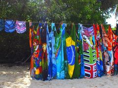 【モーホ・デ・サンパウロ（聖パウロの丘）のビーチ～】

タオルはいらんんかぇぇぇ～

う～ん～～.......また、良いところにいるなぁぁ.....浜のタオル屋さん....



......つづく.......