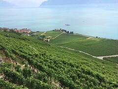次はシェーブルへ移動。

ここからもラヴォー地区のブドウ畑を見渡すことができます。

このラヴォー地区は世界遺産にも指定されており、ブドウ畑と湖のコントラストは本当にきれいでした。
周辺にはワイナリーもあるそうなので時間があれば巡ってみたかったです。

スイスというと山の景色をイメージしがちですが、ここの景色は予想外に良かったです。スイスでこんなブドウ畑の景色を見られるとは！