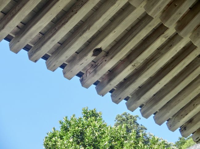 いつのまにか、体感よりも、はるかに時が過ぎていた、、、