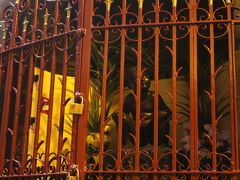 折角なので、小便少女にもご挨拶。