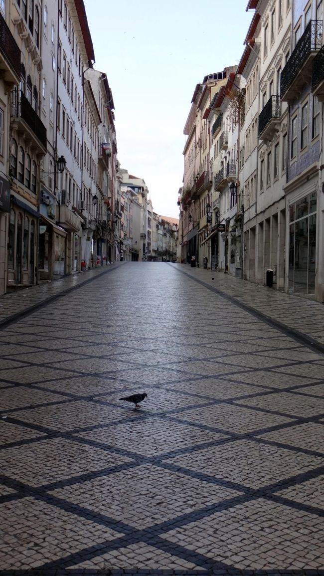 これが、旧市街の目ぬき通りですが、約5分で通り抜けるぐらい。<br />10年前は、私はまだ、広い範囲を歩くことができず、この通りをうろうろするだけで、満足していたのでした。<br />今は、もっと広範囲に歩けるように成長しましたけど、そうしてみると、コインブラは、ちっこい退屈な町でした。<br />失望しながら、ここ数年の、私の一人旅のやり方の成長を実感した気がします。