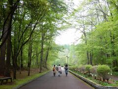 で、シッポが撮った写真です 「最後は鹿公園へ」