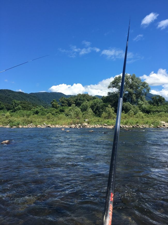 おとり鮎をつけてもらい、ポイントを教えてもらいます。<br />鮎が岩に潜り込まないように、10cm位竿を動かしながらアタリを待ちます