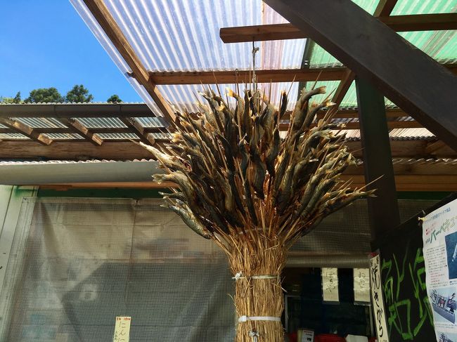 鮎が刺さってます。<br />焼いてから干してるのかな？