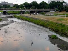 お土産を買った後、新幹線の時間までは余裕があるので京阪電車で出町柳へ、ちょろっと足をのばしてみたりして。思ったより近い！　京都を寄り道扱いできるなんて…新鮮。
出町柳駅を出てすぐの橋より、夕暮れ時の鴨川デルタを望む。ここで高野川と賀茂川が合流して鴨川になるのですね。憩う人々、手前には白い鷺。のどかです。