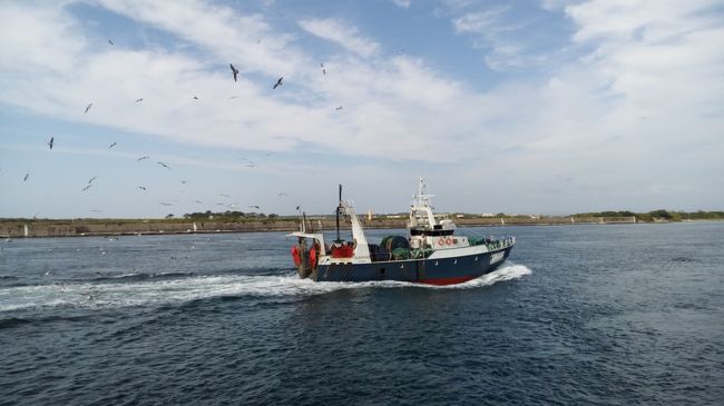 港に戻る漁船。<br />16世紀に暴風雨が原因で海の入口がふさがってしまい、それまで栄えていた港が衰退。ところが19世紀にあった暴風雨が、今度はふさがっていた入口を開けてくれたため、港が再興できたそうです。