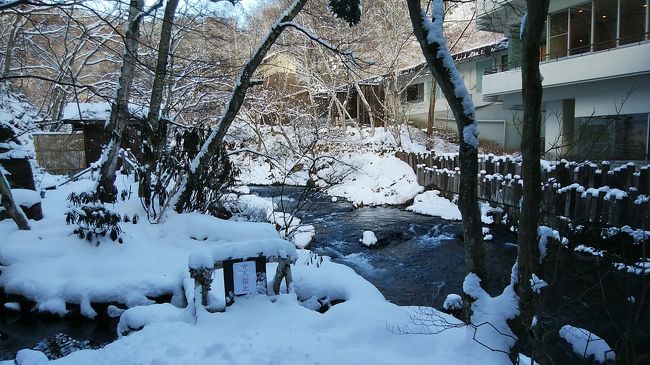 雪景色の庭園も素晴らしい